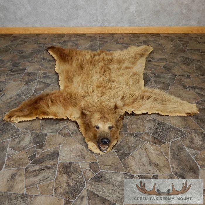 Cinnamon Phase Black Bear Full-Size Taxidermy Rug For Sale