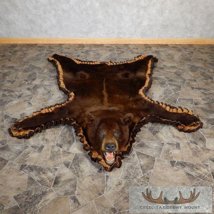 Cinnamon Phase Black Bear Full-Size Taxidermy Rug For Sale