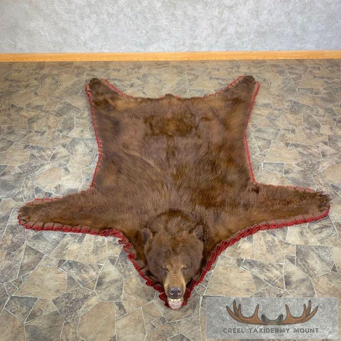 Cinnamon Phase Black Bear Full-Size Taxidermy Rug For Sale
