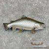 Coho Salmon Taxidermy Fish Mount For Sale