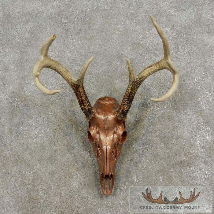 Copper Coated Whitetail Deer Skull European Taxidermy Mount For Sale