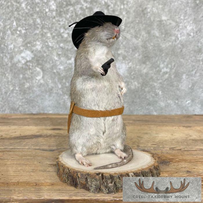Cowboy Rat Novelty Taxidermy Mount For Sale