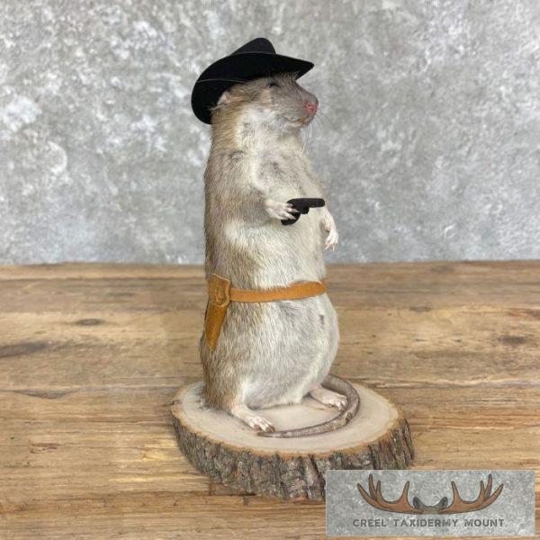 Cowboy Rat Novelty Taxidermy Mount For Sale