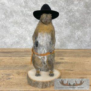 Cowboy Squirrel Novelty Taxidermy Mount Taxidermy