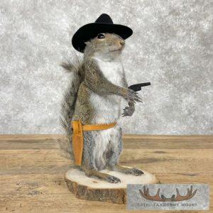 Cowboy Squirrel Novelty Taxidermy Mount Taxidermy