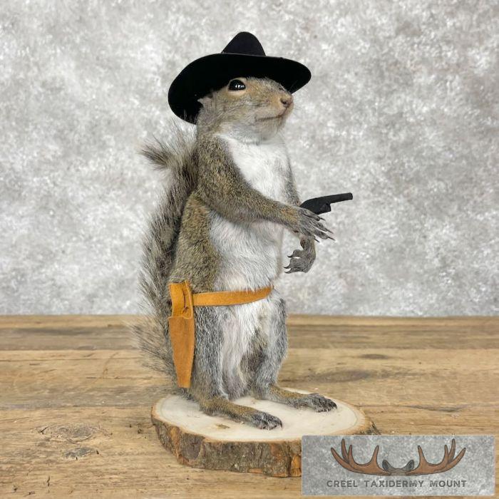 Cowboy Squirrel Novelty Taxidermy Mount For Sale