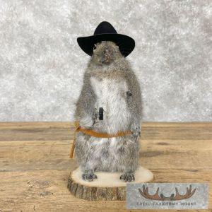 Cowboy Squirrel Novelty Taxidermy Mount Taxidermy