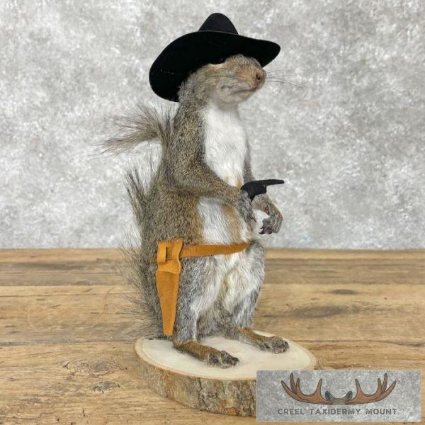 Cowboy Squirrel Novelty Taxidermy Mount For Sale