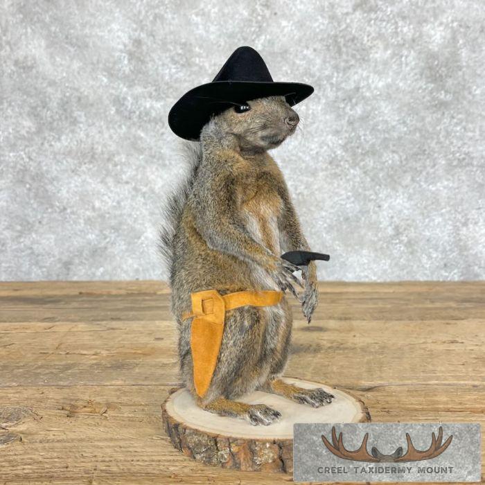 Cowboy Squirrel Novelty Taxidermy Mount For Sale