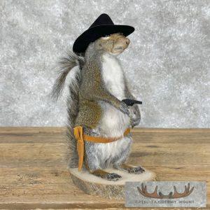 Cowboy Squirrel Novelty Taxidermy Mount Taxidermy