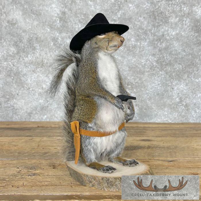 Cowboy Squirrel Novelty Taxidermy Mount For Sale