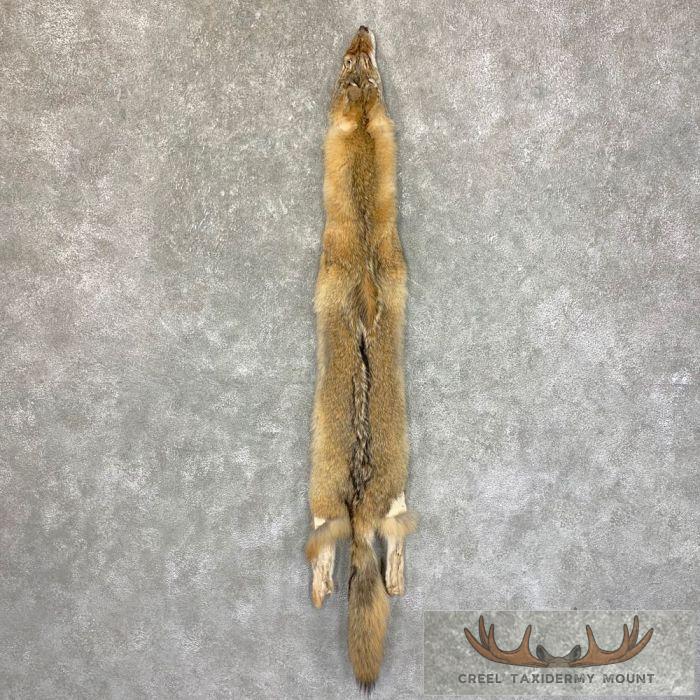 Coyote Tanned Hide For Sale