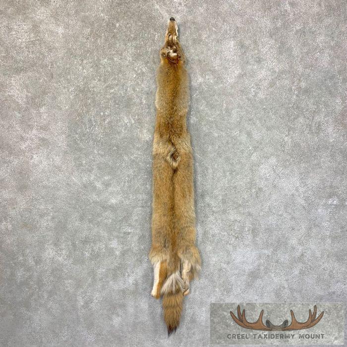 Coyote Tanned Hide For Sale