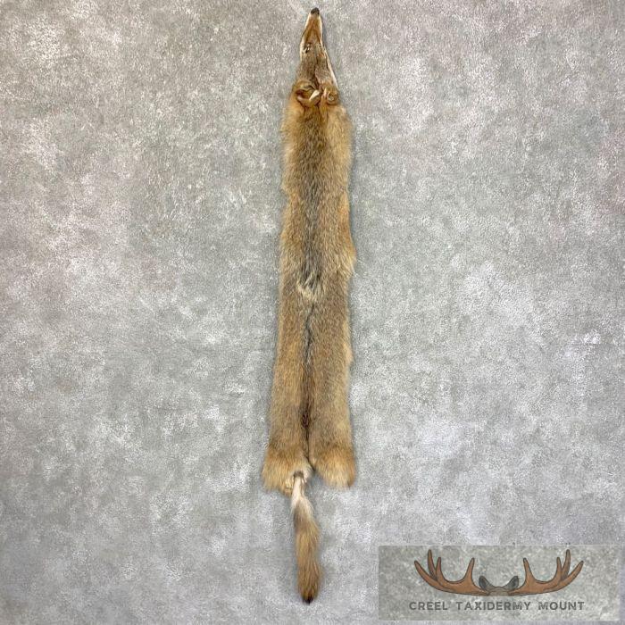 Coyote Tanned Hide For Sale