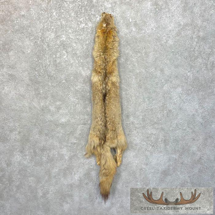 Coyote Tanned Hide For Sale