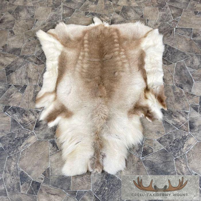 Decorative Caribou Hide For Sale