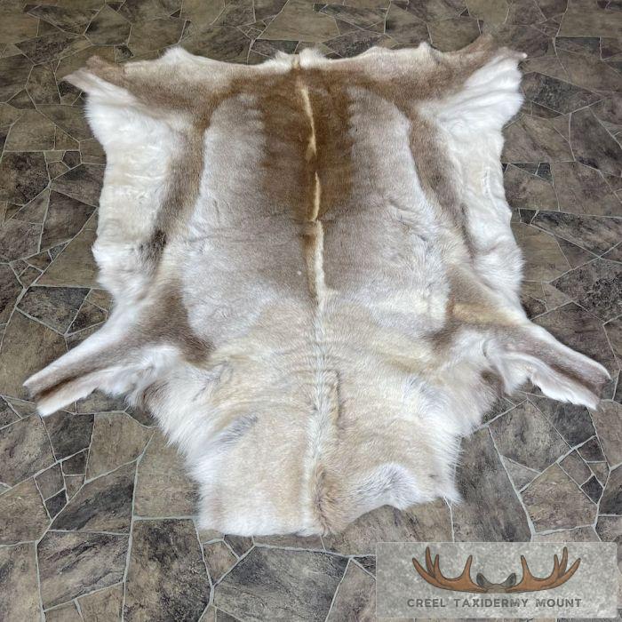 Decorative Caribou Hide For Sale