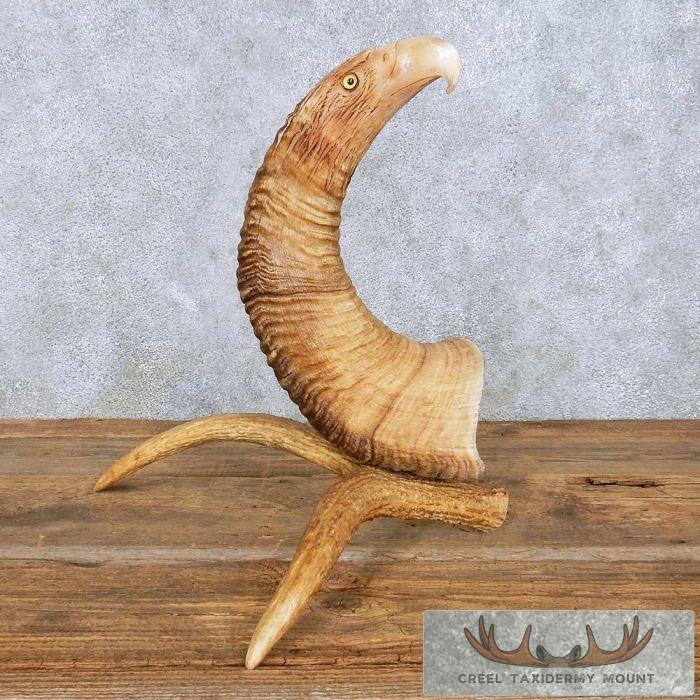 Bighorn Sheep Horn Eagle Head Carving For Sale