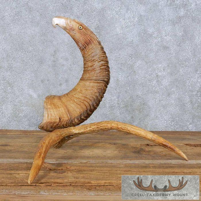 Bighorn Sheep Horn Eagle Head Carving For Sale