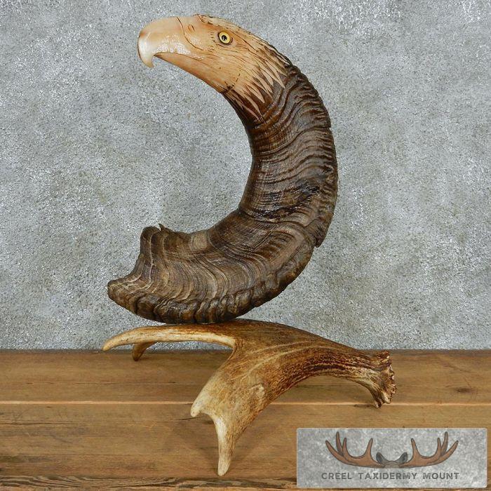 Bighorn Sheep Horn Eagle Head Carving For Sale