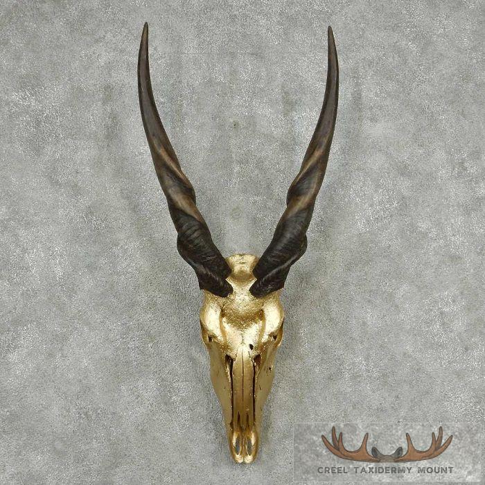 Painted Eland European Skull & Horn Mount For Sale