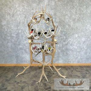 Elk and Whitetail Deer Antler Wine Rack Taxidermy