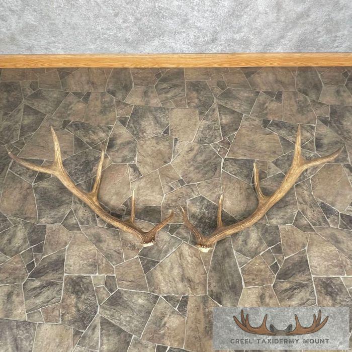 Elk Antler Craft Pack For Sale