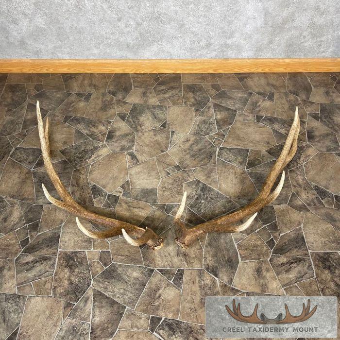 Elk Antler Craft Pack For Sale