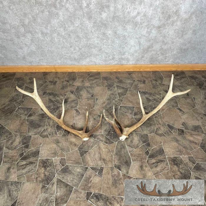 Elk Antler Craft Pack For Sale
