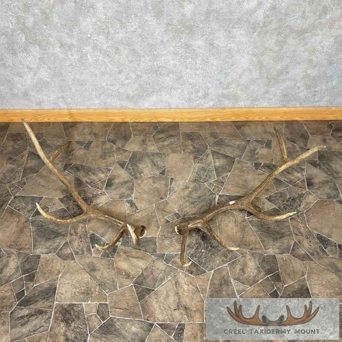 Elk Antler Craft Pack For Sale