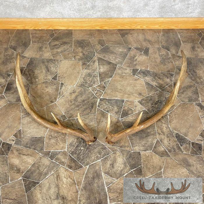 Elk Antler Craft Pack For Sale