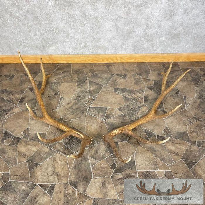 Elk Antler Craft Pack For Sale
