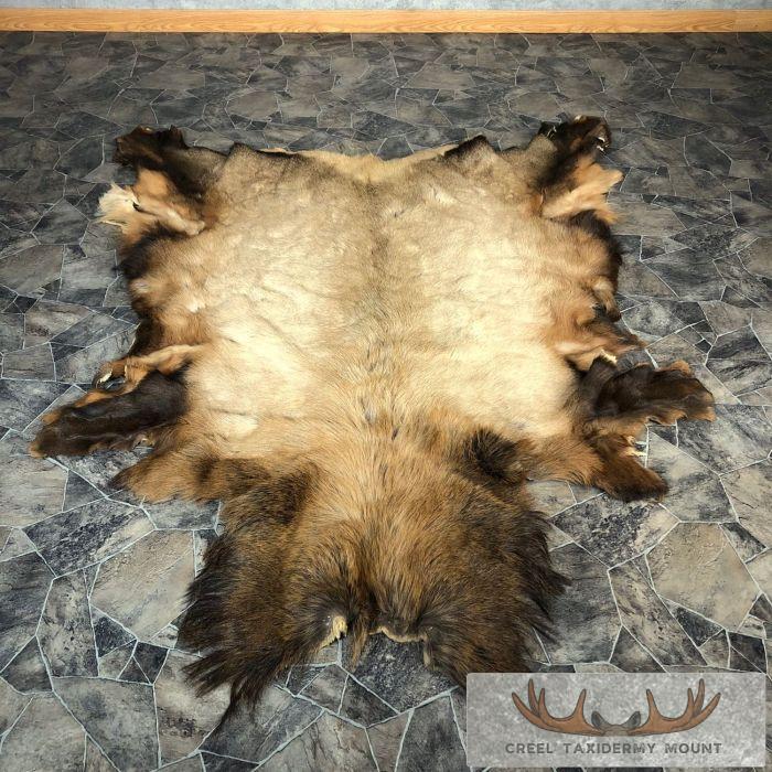 Elk Hide Taxidermy Hide For Sale