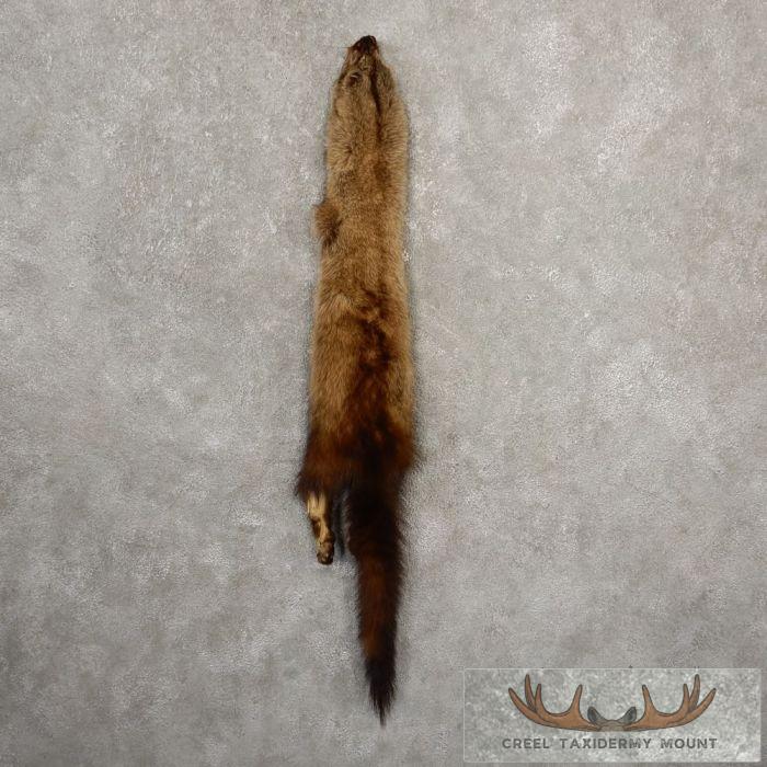 Fisher Tanned Hide For Sale