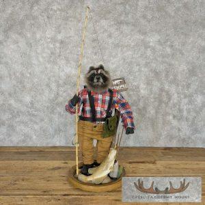 Fishing Raccoon Novelty Taxidermy Mount Taxidermy