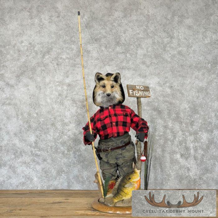 Fishing Red Fox Novelty Taxidermy Mount For Sale