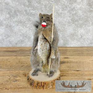 Fishing Squirrel Novelty Taxidermy Mount Taxidermy