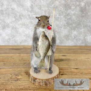 Fishing Squirrel Novelty Taxidermy Mount Taxidermy