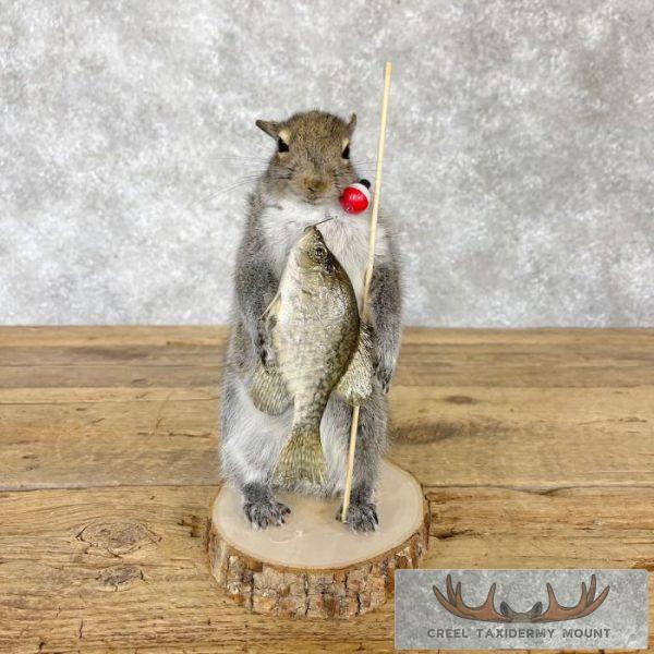 Fishing Squirrel Novelty Taxidermy Mount For Sale