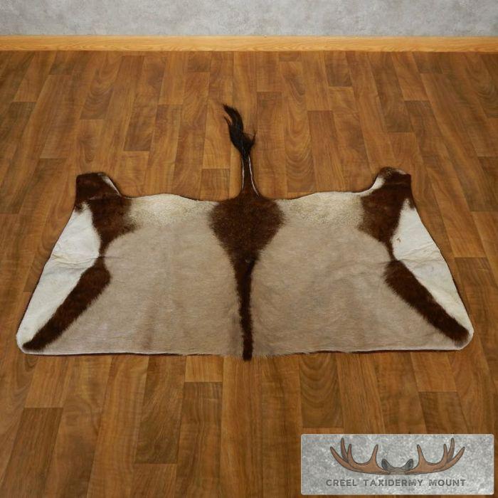 Gemsbok Rug Taxidermy Mount For Sale
