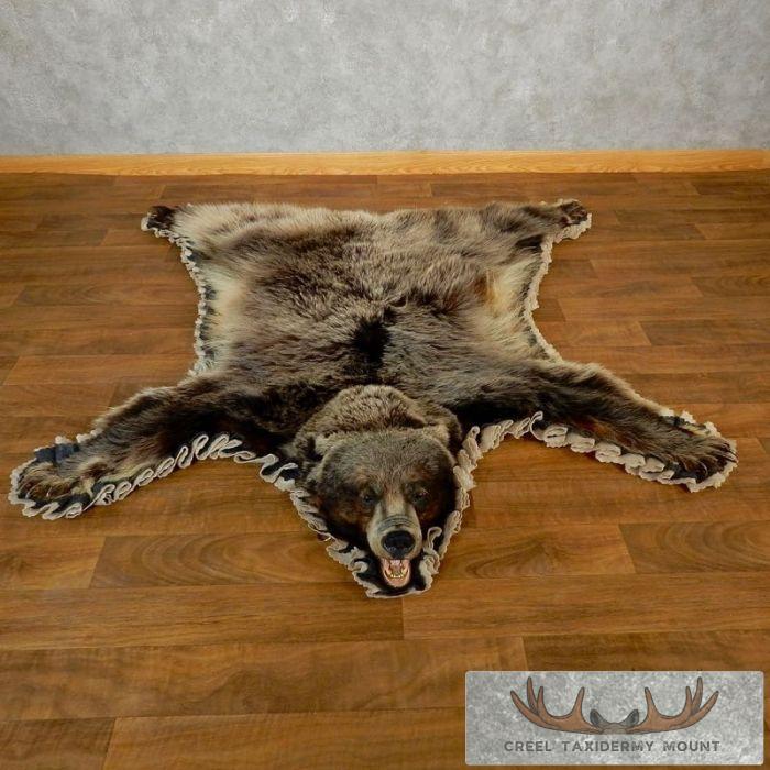Glacier Bear Full-Size Taxidermy Rug For Sale