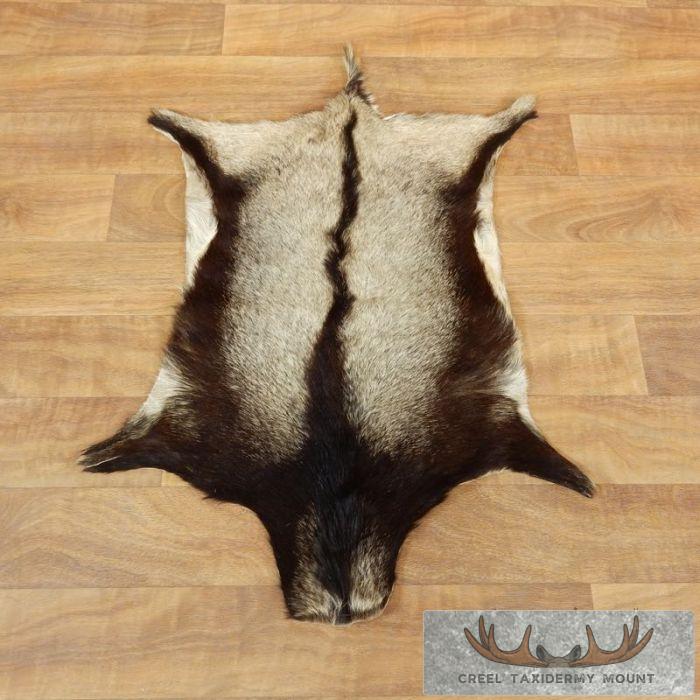 Goat Hide Taxidermy Tanned Skin For Sale