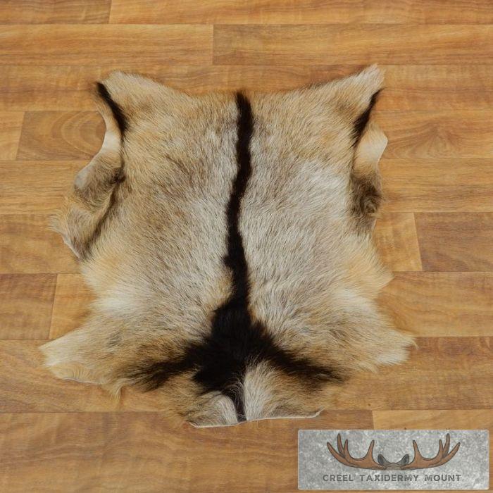 Goat Hide Taxidermy Tanned Skin For Sale