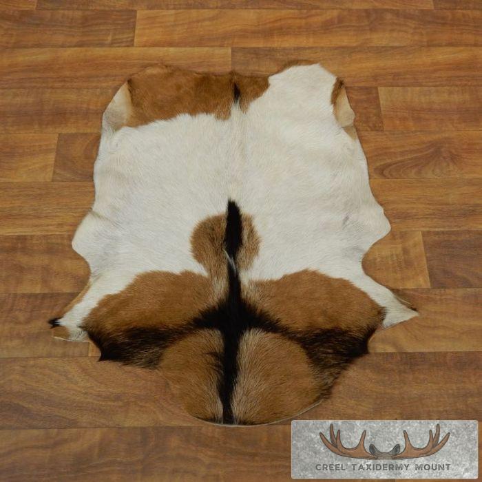 Goat Hide Taxidermy Tanned Skin For Sale