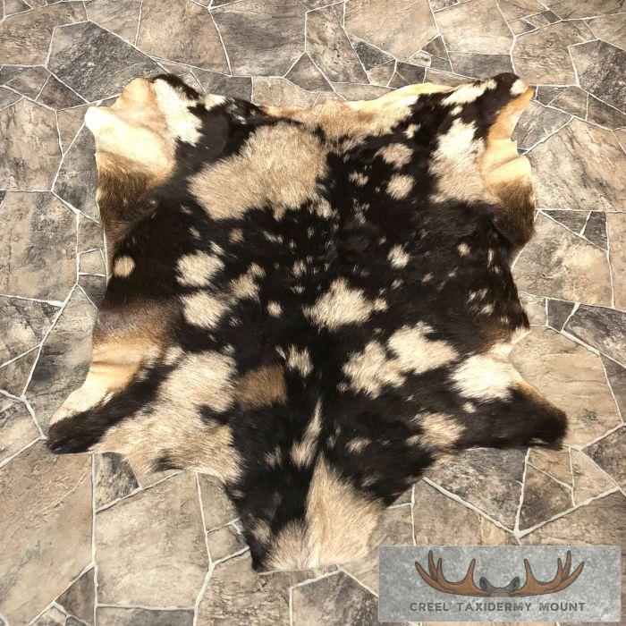 Goat Hide Taxidermy Tanned Skin For Sale