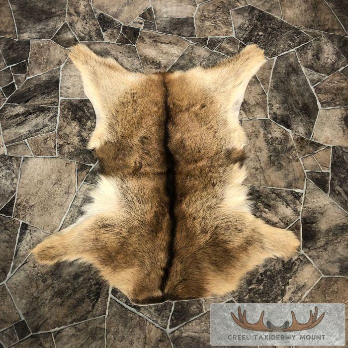 Goat Hide Taxidermy Tanned Skin For Sale