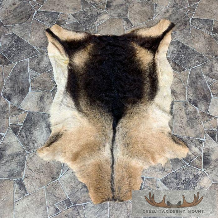 Goat Hide Taxidermy Tanned Skin For Sale