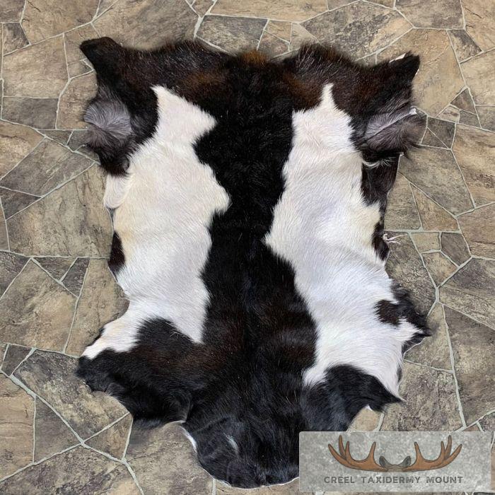 Goat Hide Taxidermy Tanned Skin For Sale