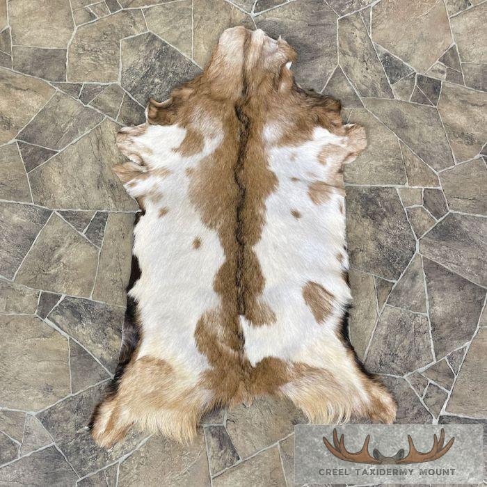 Goat Hide Taxidermy Tanned Skin For Sale