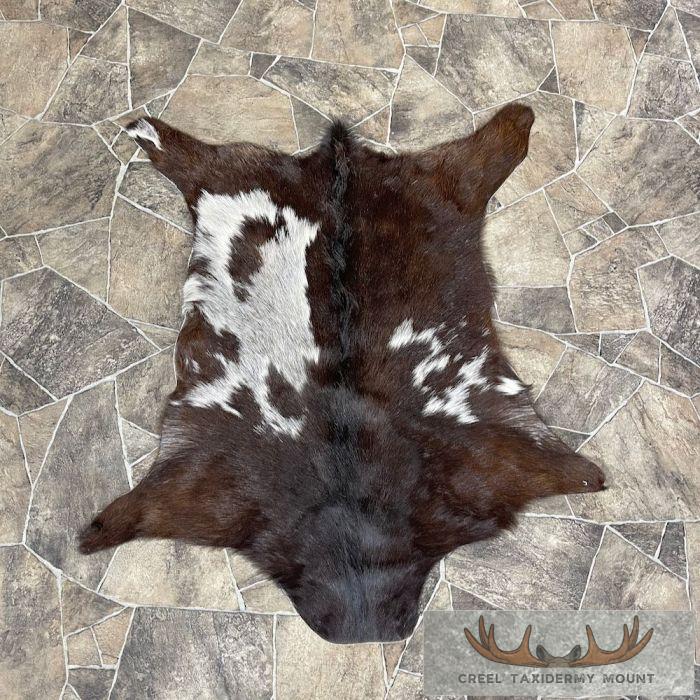 Painted Goat Tanned Hide Taxidermy Skin For Sale